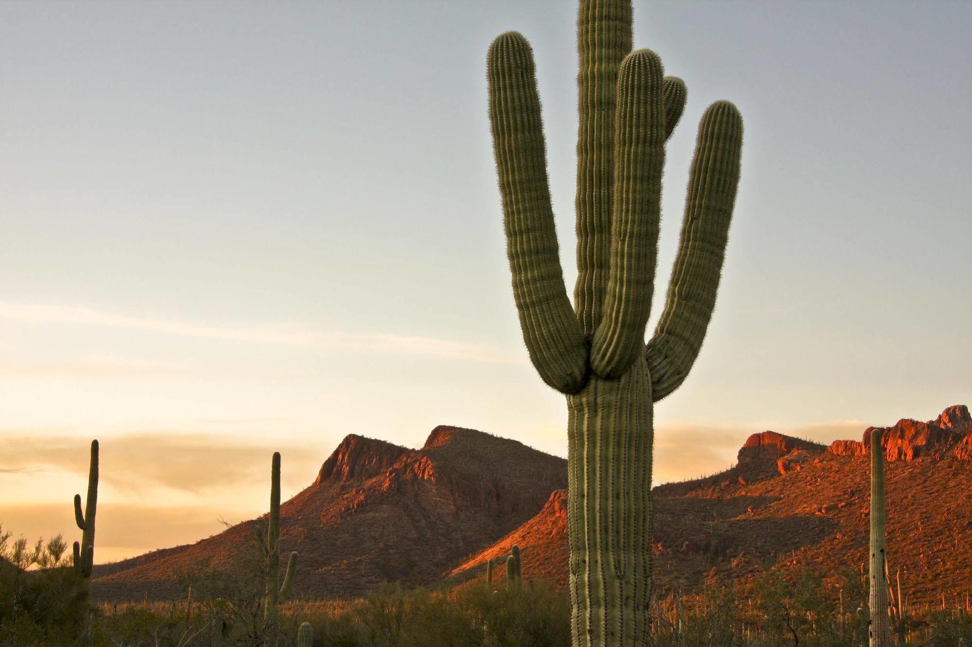 Tucson Marriott University Park Luaran gambar